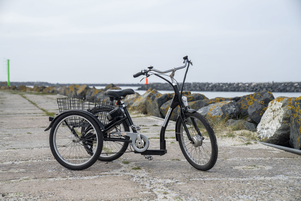 Electric tricycle for Adults